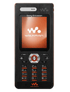 SonyEricsson - W888