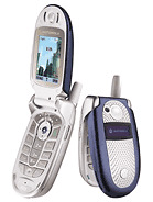 Motorola - V560