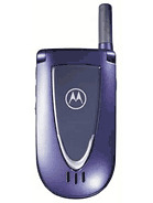 Motorola - V66i