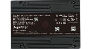 DapuStor - Xlenstor X2900