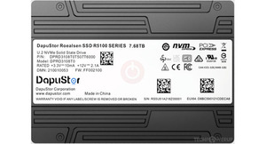 DapuStor - Roalsen SSD R5100