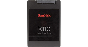 SanDisk - X110