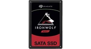 Seagate - IronWolf 110